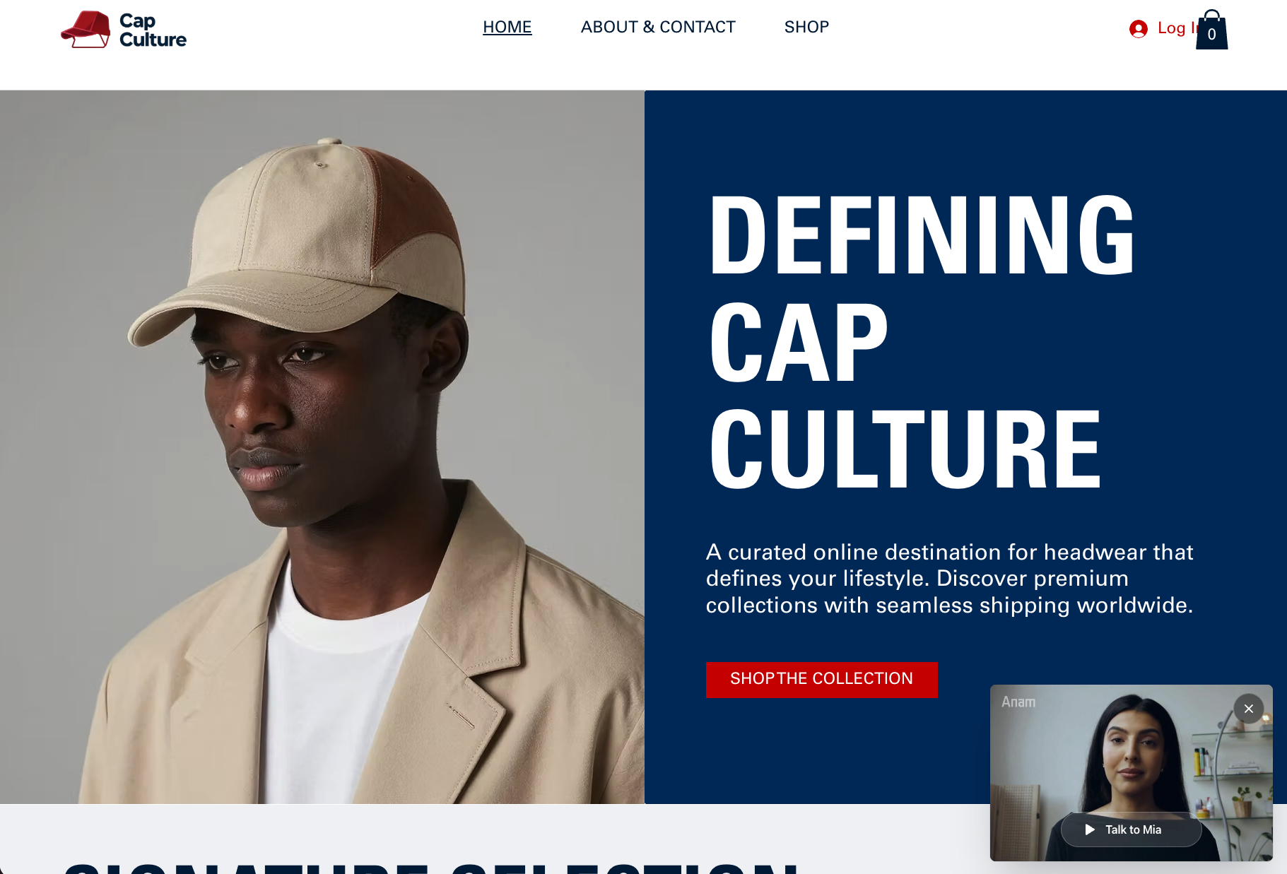 Live Wix site showing the Anam widget